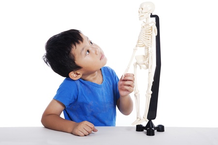 Asian boy studies human anatomy isolated on whiteの写真素材