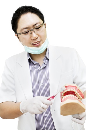 Portrait of asian dentist giving direction the right way to brush teethの写真素材