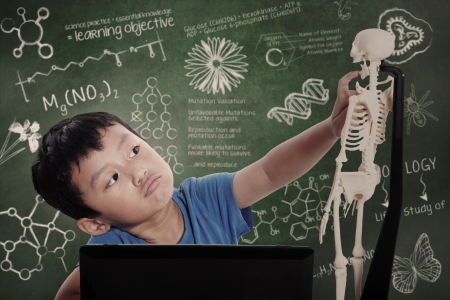Asian kid with laptop learns human anatomy isolated on whiteの写真素材