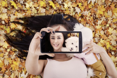 Unique perspective of beautiful woman using smartphone to take selfie photo with her dog on the autumn leavesの写真素材