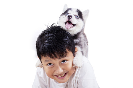Close up of happy little boy playing in the studio with siberian husky puppy, isolated on white backgroundの写真素材