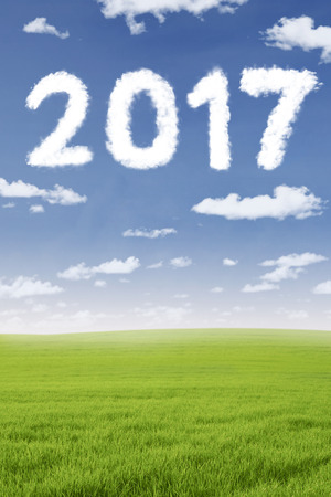 Image of cloud shaped number 2017 while flying in the meadow