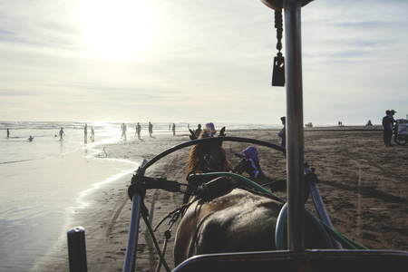 Yogyakarta, Indonesia. April 20, 2017: Picture of horse draw a cart with people relaxing on the beach at sunset timeのeditorial素材