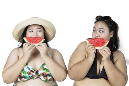 Two fat women wearing bikini, eating watermelon, isolated on white backgroundの写真素材