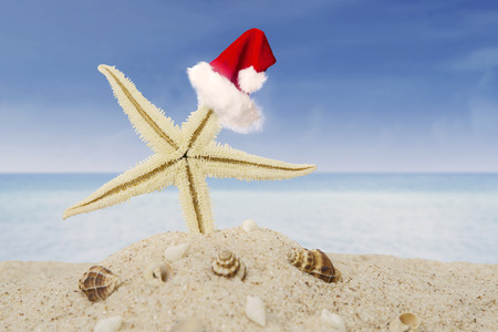 Christmas vacation concept. White starfish wearing Santa hat and seashell on the summer beachの写真素材