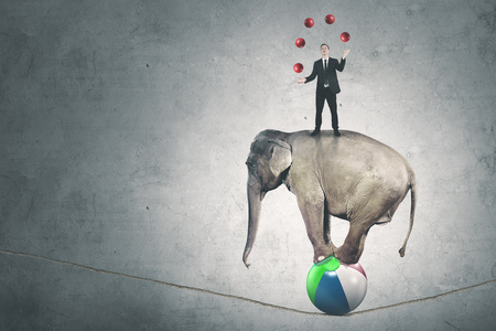 Portrait of a male manager juggling with many red balls while standing above circus elephantの写真素材