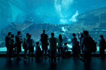 Singapore. February 15, 2018: Silhouette of crowded tourist taking a picture fish in S.E.A. Aquarium, Singapore  のeditorial素材