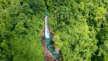Beautiful aerial scenery of green trees with Gitgit waterfall in Bali, Indonesiaの写真素材