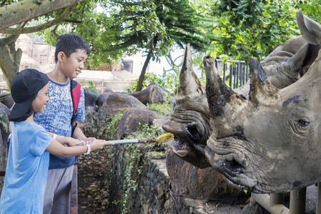 Picture of two children feeding white rhinos in the Batu Secret zoo at Malang, Indonesiaの写真素材