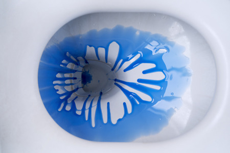 Top view of ceramic toilet bowl with blue liquid detergent in modern bathroomの写真素材