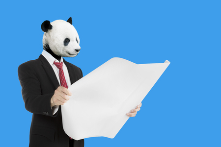 Contemporary art collage concept. Panda architect checking blueprints while standing with blue backgroundの写真素材