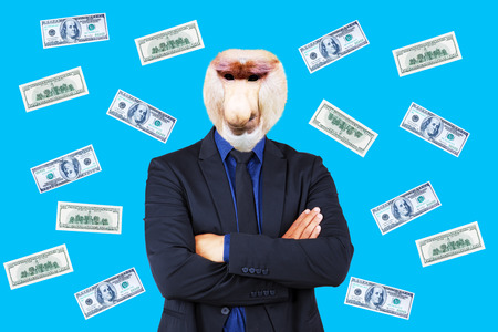 Contemporary art collage concept. Successful businessman with head of Proboscis monkey in money raining  backgroundの写真素材