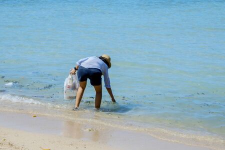 Picture of little female volunteer cleaning beautiful beach by picking plastic wasteの写真素材