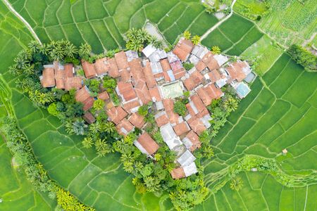 Top down view of village and green rice field on the valley at the morningの写真素材