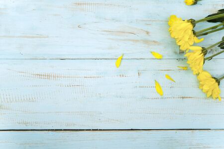 Spring concept: Flower flat lay composition, Yellow Jerusalem artichoke flowers over wooden...