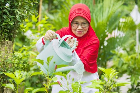 Attractive senior muslim woman using a watering can to pour water on green plants at the gardenの写真素材