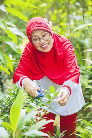 Cheerful senior muslim woman cutting leaves with a scissors in the backyard gardenの写真素材