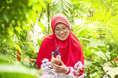 Cheerful old muslim woman cutting flowers with a scissors while gardening at home backyard