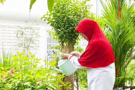 Senior muslim woman watering flower with can in the backyard gardenの写真素材