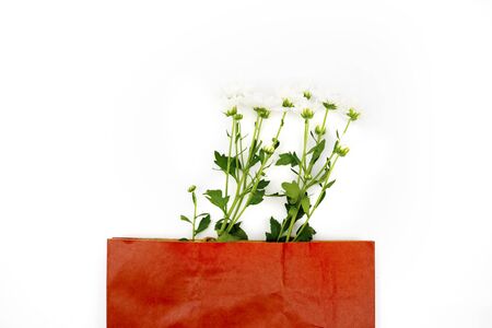 Closeup of white daisy flowers on a gift bag, isolated on white backgroundの写真素材