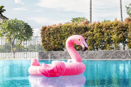 Pink inflatable flamingo floating on the swimming poolの写真素材