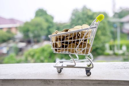 Shopping cart with golden coins on the window. Business investment and savings money conceptの写真素材