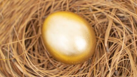 Closeup of shiny golden egg on the nest. Business Investment conceptの写真素材