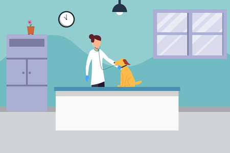 Veterinary vector concept: female veterinarian examining a bloodhound with the stethoscopeのイラスト素材