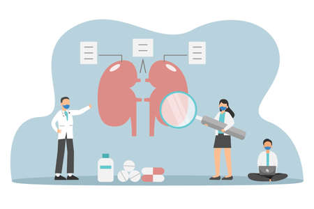 Studying on kidney 2D flat vector concept for banner, website, illustration, landing page, flyer, etcのイラスト素材