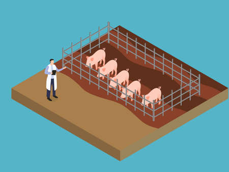Pig agriculture isometric 3d vector concept for banner, website, illustration, landing page, flyer, etc.のイラスト素材