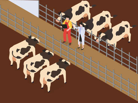 Farmer with Veterinary checking some cows isometric 3d vector concept for banner, website, illustration, landing page, flyer, etc.のイラスト素材