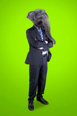 Contemporary art collage concept. Picture of confident male manager with head of elephant standing in the studio with green screen backgroundの写真素材