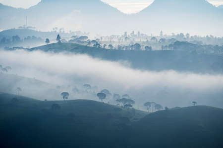 Beautiful aerial view of fog at highland above tea plantation on the morning in Pangalengan, Bandung, West Java, Indonesiaの写真素材