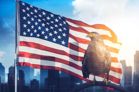 Double exposure of eagle bird and American flag with silhouette of skyscraper backgroundの写真素材