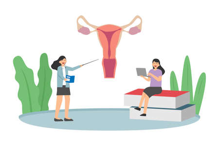 Contraception vector concept: Two university students learning about woman ovaries while using laptopのイラスト素材