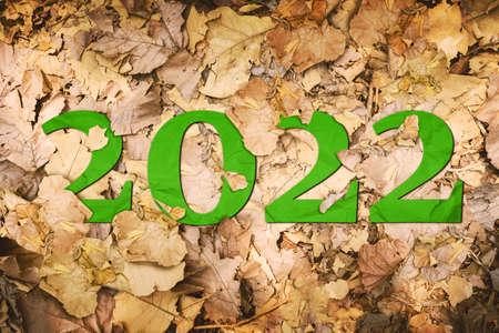 Top view of heaped wilted leaves falling on the ground with number 2022. Happy new year concept