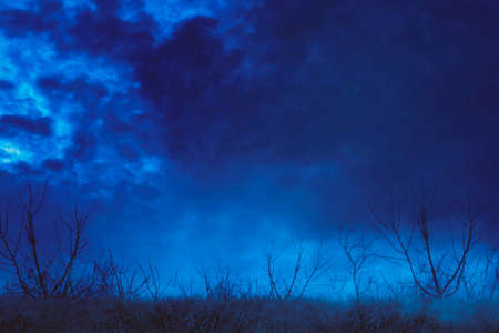 Halloween horror concept. Spooky forest with dead trees and grass at misty night