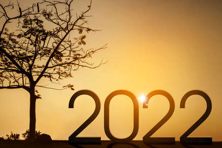 Silhouette of tree and 2022 number at the park with sunrise background. Shot at dawn timeの写真素材