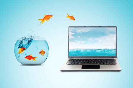 Group of goldfish jumping from aquarium to the sea on laptop screen with blue backgroundの写真素材