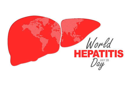 Image of liver organ with world hepatitis day text. Isolated on white backgroundの写真素材