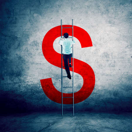 Back view of businessman climbing a ladder to reaching a dollar symbol peakの写真素材