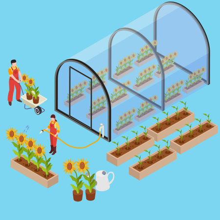 Sunflower farming isometric 3d vector concept for banner, website, illustration, landing page, flyer, etc.のイラスト素材