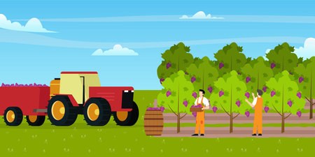 People farmer worker picking grapes harvesting berry for sale at farm market 2d vector illustration concept for banner, website, illustration, landing page, flyer, etc.のイラスト素材