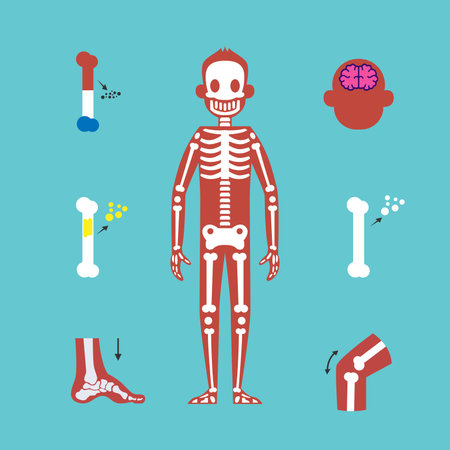 Medical, anatomy and biology 2d vector illustration concept for banner, website, landing page, flyer, etcのイラスト素材