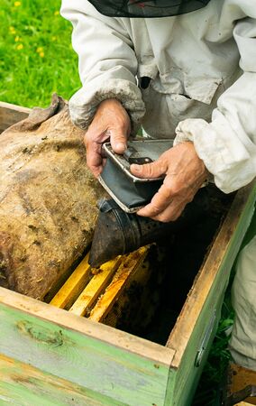 A beekeeper checks the beehive and honey frames of bees. Beekeeping work on the apiary. Selective focus.の写真素材