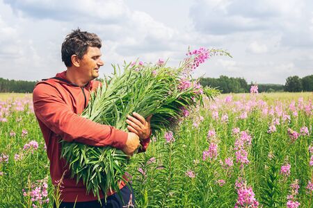 Young man holding an armful of wildflowers willow herb iwan tea against a blooming meadow. Toning....