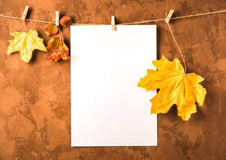 Empty white sheet of paper and dry leaves hang on clothespins on a brown background. Autumn concept. Copy space.の写真素材