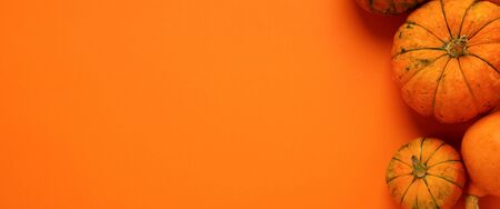 Fresh decorative pumpkin on an orange background. Thanksgiving Autumn Concept. Flat layout. Empty...
