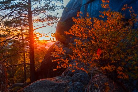 Evening mountain landscape. Mountains rocks trees against the setting sun. Krasnoyarsk National Park...