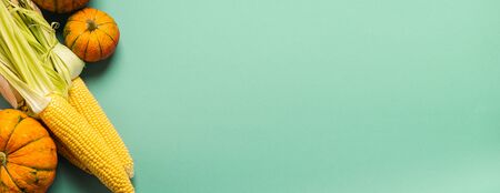 Fresh ripe pumpkin and corn on a mint blue background. Thanksgiving Autumn Concept. Flat layout. Empty place for textの写真素材